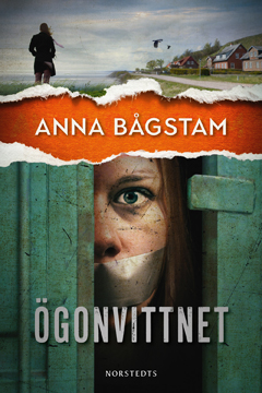 Anna Bågstam: 'Ögonvittnet' (2018)
